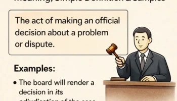 adjudication meaning and simple examples guide